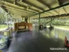15 Silky Oak Road COW BAY, Daintree, Qld 4873-Image