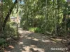 15 Silky Oak Road COW BAY, Daintree, Qld 4873-Image