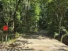 15 Silky Oak Road COW BAY, Daintree, Qld 4873-Image