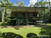 15 Silky Oak Road COW BAY, Daintree, Qld 4873-Image