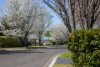 15 Skye Place, Bundanoon, NSW 2578-Image