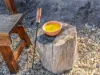 15 Smith Street, Bellingham, Tas 7254-Image