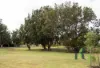 15 Stampel Gardens, Kardinya, WA 6163-Image