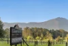 15 Sugar Glider Drive, Tapitallee, NSW 2540-Image