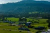 15 Sugar Glider Drive, Tapitallee, NSW 2540-Image