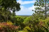 15 Sunrise Lane, Ewingsdale, NSW 2481-Image
