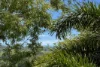 15 Tanner Crescent, Stratford, Qld 4870-Image