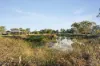 15 Thistlewood Place, Cranbourne East, Vic 3977-Image