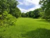 15 Ti Tree Road, Howard Springs, NT 0835-Image