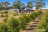 15 Tognis Access Road, Timboon, Vic 3268