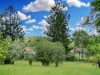 15 Tooloom Street, Mallanganee, NSW 2469-Image