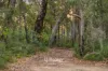 15 Tranquil Lane, Quindalup, WA 6281-Image