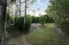 15 Vanessa Court, Alice River, Qld 4817-Image
