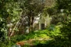 15  Verlin Street, Castlemaine, Vic 3450-Image