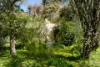 15  Verlin Street, Castlemaine, Vic 3450-Image
