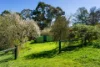 15  Verlin Street, Castlemaine, Vic 3450-Image