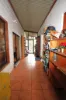 15  Wagtail Court, Howard Springs, NT 0835-Image
