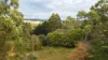15 Walter Road, Bridgetown, WA 6255-Image