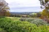 15 Walter Road, Bridgetown, WA 6255-Image