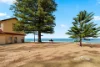 15 Walworth Avenue, Newport, NSW 2106-Image