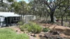 15 Warburton Street, Tenterden, WA 6322-Image