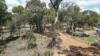 15 Warburton Street, Tenterden, WA 6322-Image