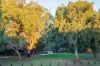 15 Water Crest Gardens, Gwelup, WA 6018-Image