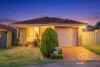 15 Webb Place, Minto, NSW 2566