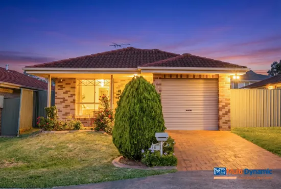 15 Webb Place, Minto, NSW 2566