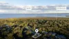 15 Whiting Street, Beachmere, Qld 4510-Image