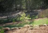 15 Wildflower Circuit, Upper Coomera, Qld 4209-Image