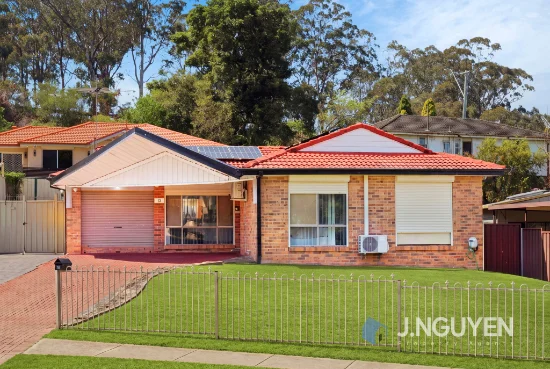 15 Winnall Place, Ashcroft, NSW 2168