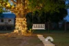 15 Winnifred Court, Elimbah, Qld 4516-Image