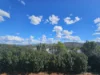 15 Wintersun Parade, Bandiana, Vic 3691-Image