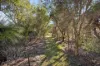 15 Wolfe Road, Banjup WA 6164-Image