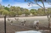 15 Woodies Place, Richmond, Tas 7025-Image