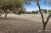 15 Woodies Place, Richmond, Tas 7025-Image