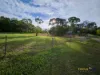 150 Fenech Avenue, Alligator Creek, Qld 4740-Image