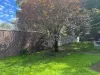 150 High Street, Wedderburn, Vic 3518-Image