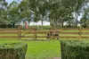 150 Main Street, Beeac, Vic 3251-Image