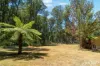 150 Manby Road, Narbethong, Vic 3778-Image