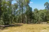 150 Manby Road, Narbethong, Vic 3778-Image