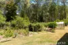 150 Manby Road, Narbethong, Vic 3778-Image
