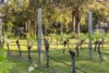 150 South Beach Road, Bittern, Vic 3918-Image