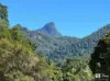 1501 Kyogle Road, Uki, NSW 2484-Image