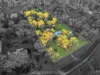 151-157 Candlebark Road, Glenlogan, Qld 4280-Image