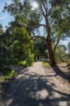 151 Birtles Road, Wooragee, Vic 3747-Image