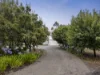 151 Burnside Road, Bannockburn, Vic 3331-Image