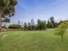 151 Burnside Road, Bannockburn, Vic 3331-Image