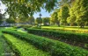 151 Coward Street, Mascot NSW 2020-Image